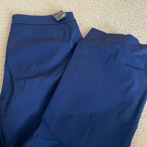 NWT j.crew Kelsey pant size 10 blue
